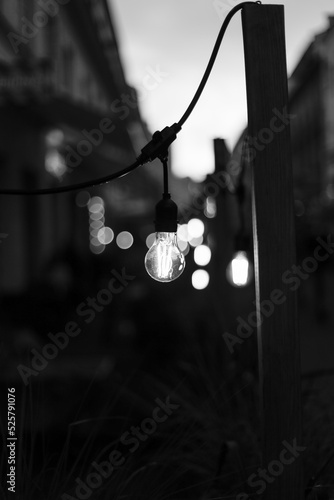black and white bulb