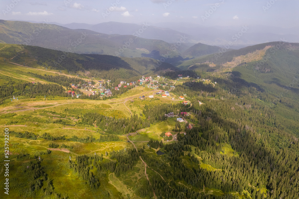 Fototapeta premium Green forest with fir trees and a meadow near the mountain village Dragobrat, Western Ukraine, Europe