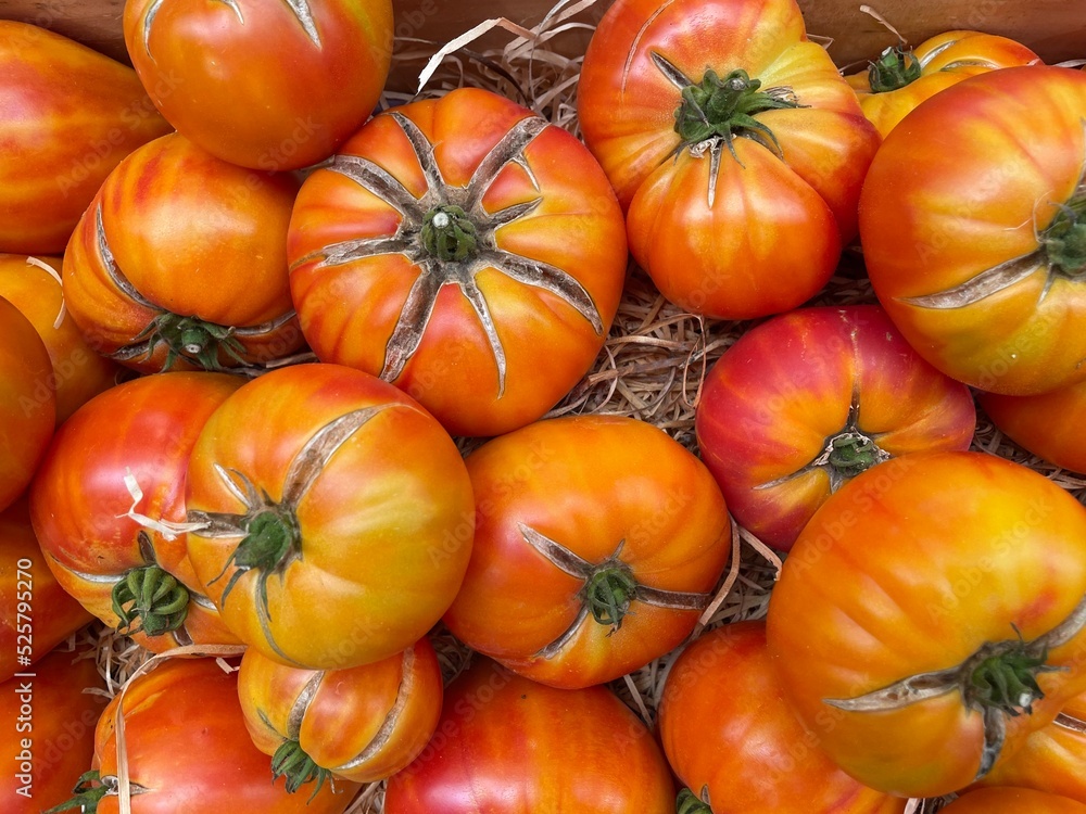 Bio Tomaten auf einem Bauernmarkt Bio Tomaten auf einem Bauernmarkt