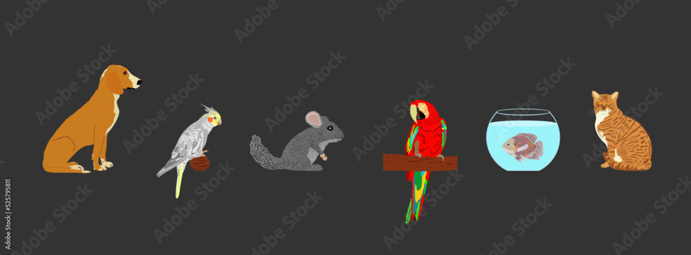 Pets collection. Domestic dog and cat vector illustration isolated on black. Macaw parrot and Cockatail Corella birds. Chinchilla lovely animal. Exotic Oscar fish in fishbowl aquarium. Pet shop.