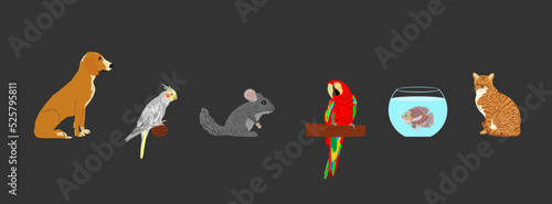 Pets collection. Domestic dog and cat vector illustration isolated on black. Macaw parrot and Cockatail Corella birds. Chinchilla lovely animal. Exotic Oscar fish in fishbowl aquarium. Pet shop.