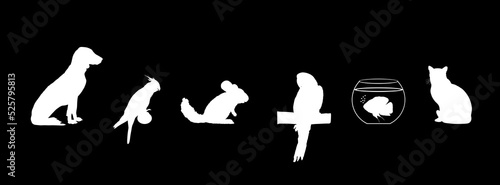 Pets collection. Domestic dog and cat vector silhouette illustration isolated on black. Macaw parrot and Cockatail Corella birds. Chinchilla animal. Exotic Oscar fish in fishbowl aquarium. Pet shop.
