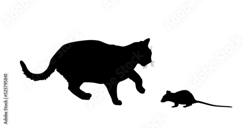 Hungry cat is chasing the mouse vector silhouette illustration isolated on white background. Cat eat rat symbol. Feline hunter hunting prey. 