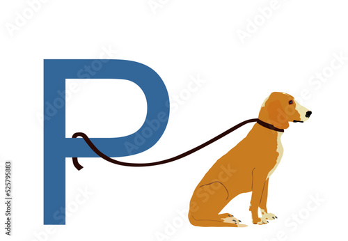 Sitting Schiller hound dog parking vector illustration isolated on white background. Schillerstovare. Beware of dog. Urban scene sign. Safety place on street for pet waiting owner after shopping.