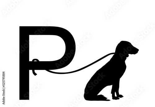 black labrador retriever