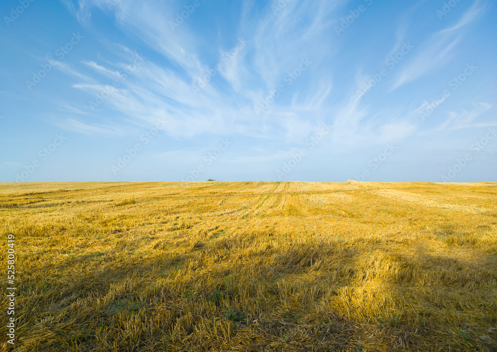 Beautiful rural landscape. Fields after harvesting. Yellow and blue background