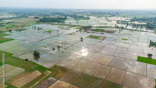Photography Aerial Photography Drone photography of Chennai and the suburbs in Tamil Nadu In