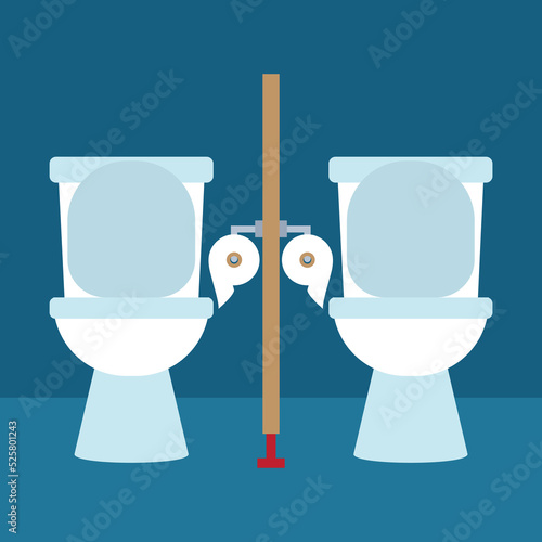 Two toilet cubicles, toilet bowl, toilet paper
