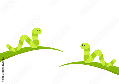 Green worm vector. Worm cartoon vector. free space for text. Green worm on the leaf.