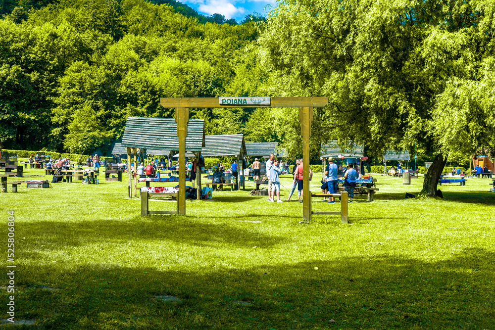 Brasov,Romania - 31 july 2022: The picnic area in the wooded area of the park Grill area