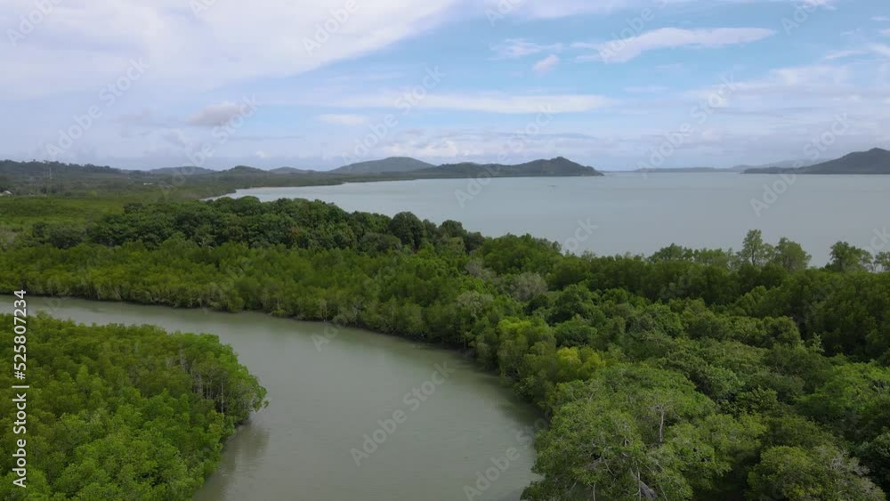 aerial view of river inside the mangrove forest move to sea with beautiful cloud1 aerial view of river inside the mangrove forest move to sea with beautiful cloud1