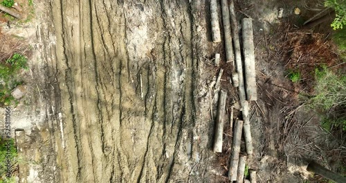 Aerial Drone view of tree logs lie on a dirt road among green trees in the forest. Logging. Deforestation