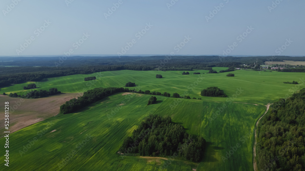 Aerial view of green summer forest and roads. Rural landscape.