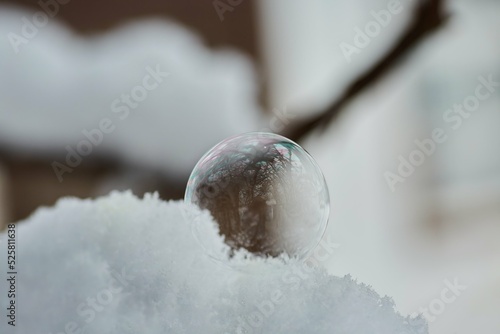 Soap bubble in winter with ice crystals