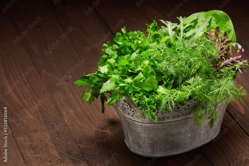 a bunch of green dill, parsley, salad and other greens in an iron bucket, dark wooden background, concept of fresh vegetables and healthy food a bunch of green dill, parsley, salad and other greens in an iron bucket, dark wooden background, concept of fresh vegetables and healthy food
