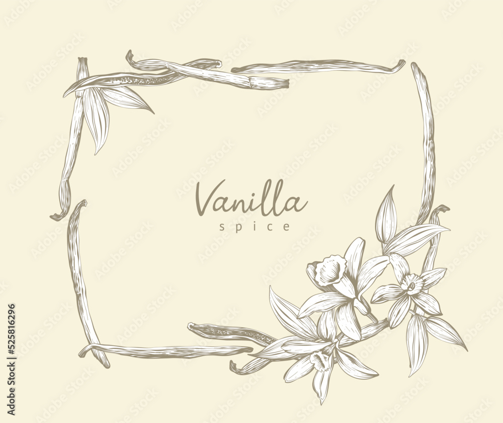 Frame from vanilla flowers, leaves, pods and sticks.  hand drawn spices Linear art. Vector template for banners, labels, tags, packaging box design 