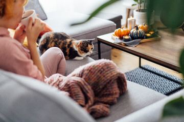 Multi colored pet cat sitting with woman in plaid, who is drinking hot tea, watching movie, TV on the sofa at decorated for fall holidays home. Cozy and comfortable autumn concept. Selective focus.