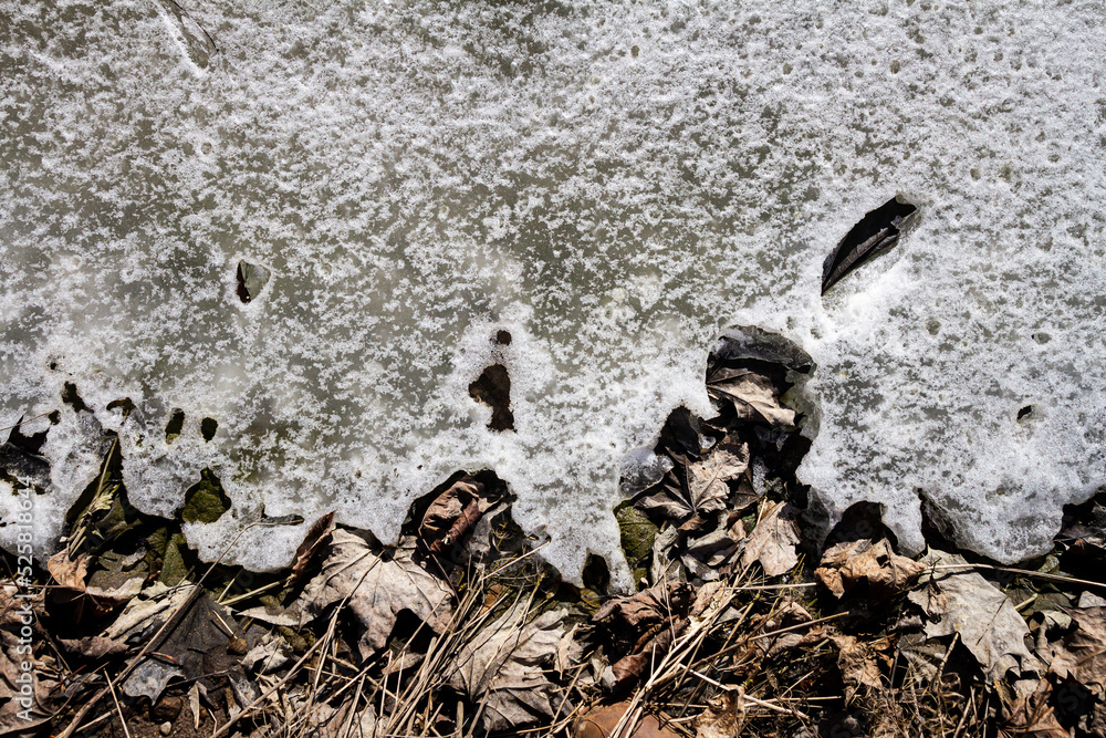 Obraz premium Spring ground covered with thawing snow