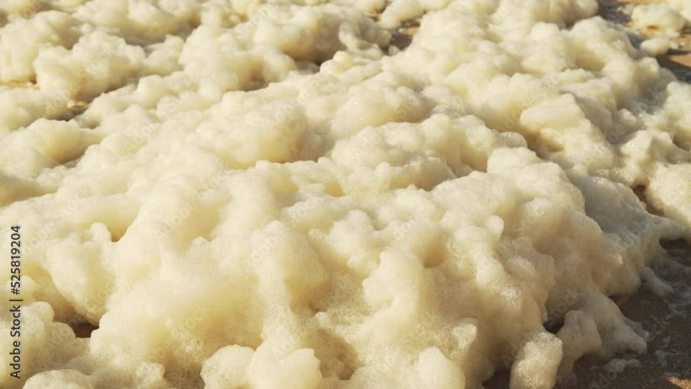 Sea Foam (aka Beach Foam, Ocean Foam or Spume) on a Sandy Beach on the Atlantic Coast of Portugal at Sintra, Lisbon, Europe Sea Foam (aka Beach Foam, Ocean Foam or Spume) on a Sandy Beach on the Atlantic Coast of Portugal at Sintra, Lisbon, Europe