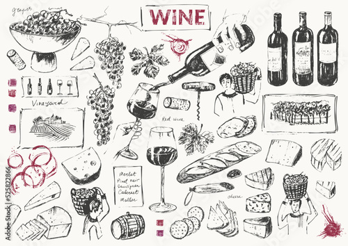 Hand drawn wine illustration set.