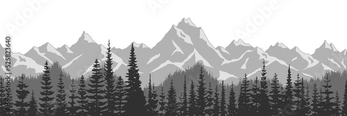 Black and white landscape, spruce forest against the background of snow-capped mountains