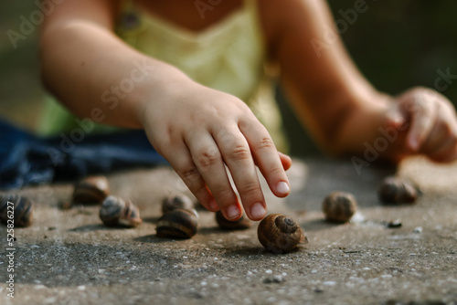 Moments of childhood. The child holds snails in his hands. Copy space. Children's outdoor games.