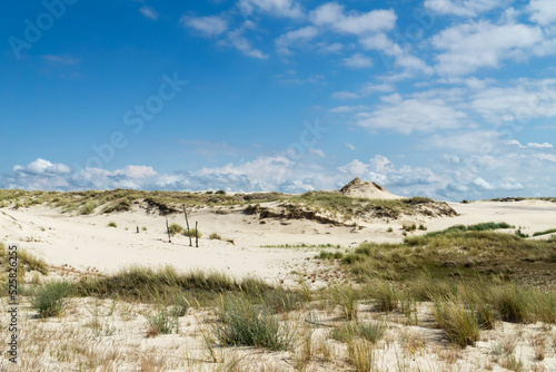 Sandy dunes overgrown by clumps of grass  and blue sky with white clouds in sunny summer day.  Lacka dune in Slowinski National Park in Poland, a miracle of nature. Traveling dune. photo