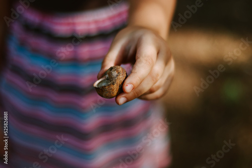 Moments of childhood. The child holds snails in his hands. Copy space. Children's outdoor games. photo