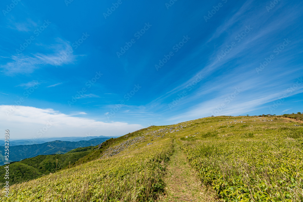 Fototapeta premium 風景