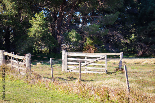 old wooden gate in field with pine trees