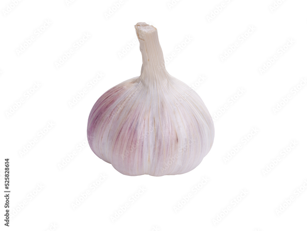 Garlic bulb Isolated against a flat background.