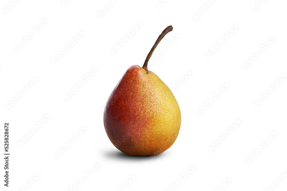 An upright ripe juicy golden and red pear isolated against a flat background. An upright ripe juicy golden and red pear isolated against a flat background.