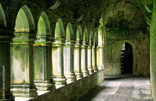 The cloister walk arches in Quin Abbey, County Clare, Ireland. Founded by the Franciscan order in 1433. photo