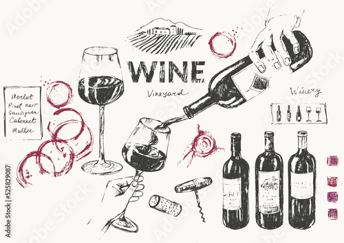 Hand drawn wine illustration set.