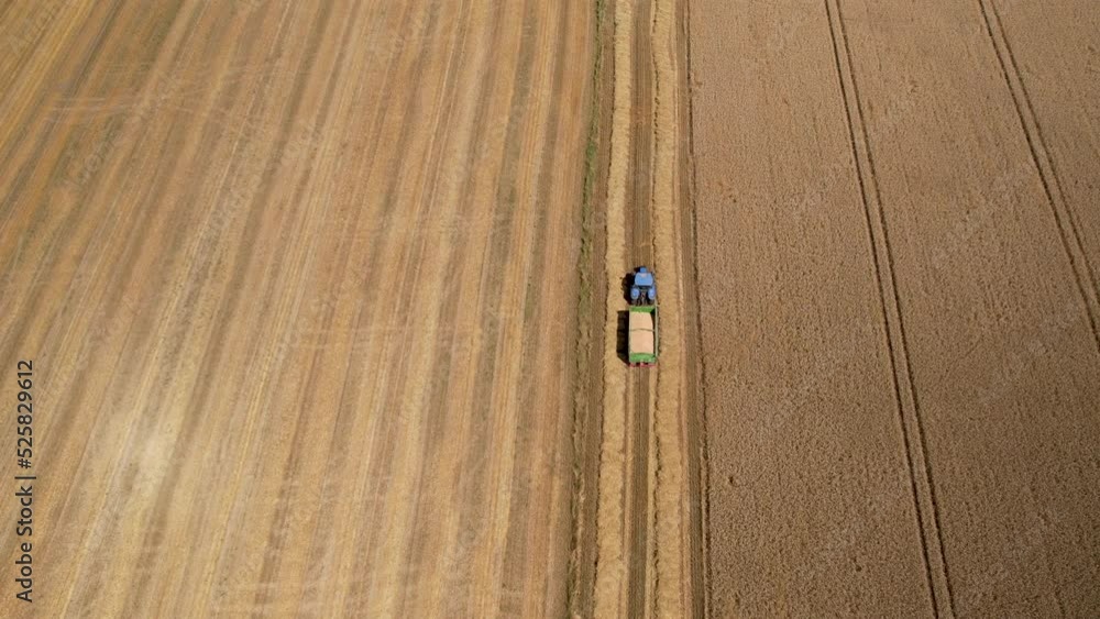Top View Of A Blue Farm Tractor With Empty Trailer Moving Across The Field. - Drone Shot Top View Of A Blue Farm Tractor With Empty Trailer Moving Across The Field. - Drone Shot