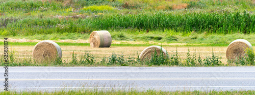 Dry yellow straw bales laying on the farm field at the road