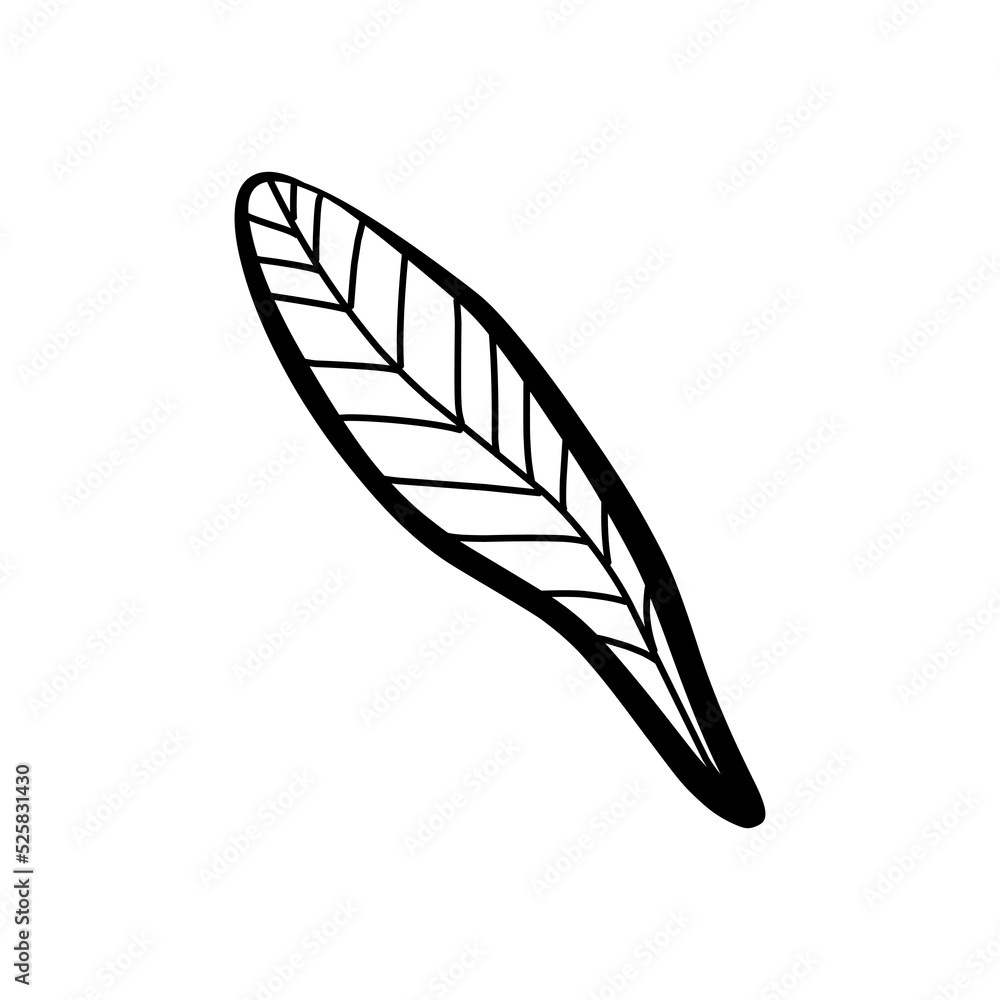 Tropical decorative leaves in doodle style on background Tropical decorative leaves in doodle style on background