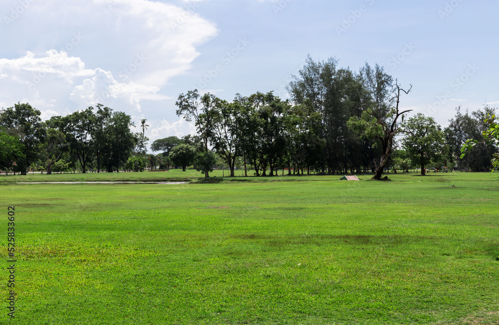 Empty dry cracked swamp reclamation soil, land plot for housing construction Green meadow, beautiful views and beautiful blue sky with fresh air Land for sales landscape concept.