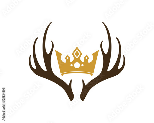 Deer antlers with crown inside