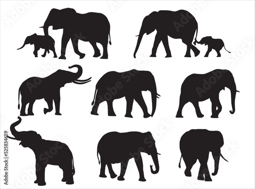 Vector set of silhouettes of elephants with their children in various poses. Goes  sits  plays  eats