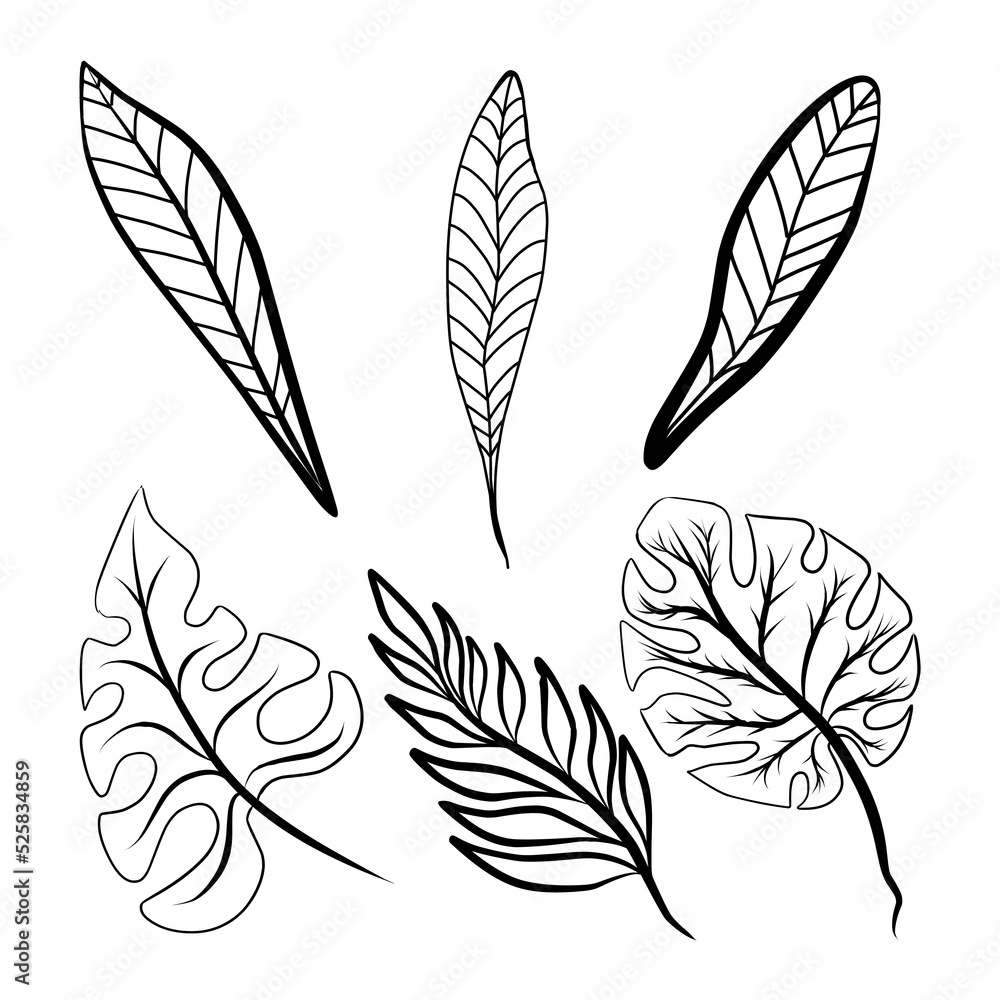 Set of tropical decorative leaves in doodle style on background