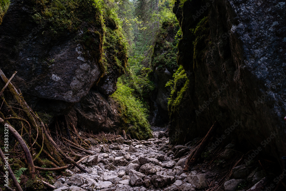 waterfall in the woods