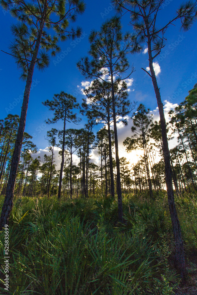 Oxbow eco-center, Fort Pierce, Florida Oxbow eco-center, Fort Pierce, Florida