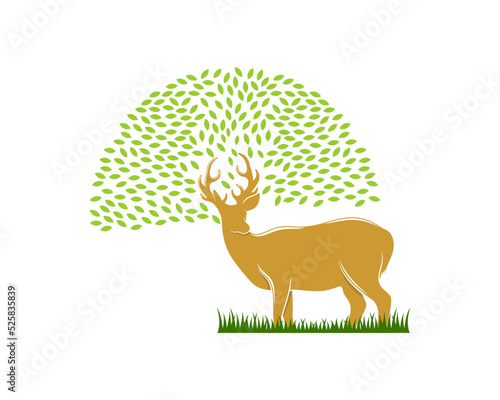 A deer and a tree