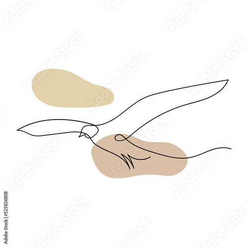 Flying seagull line art. Contour drawing. Minimalism art.