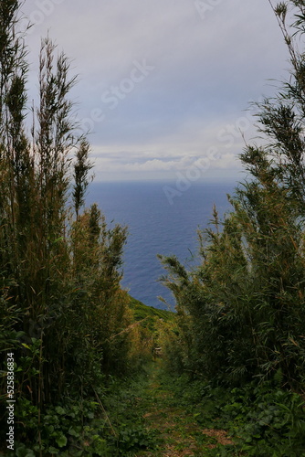 Remote and isolated hidden island Aogashima island in Tokyo  Japan