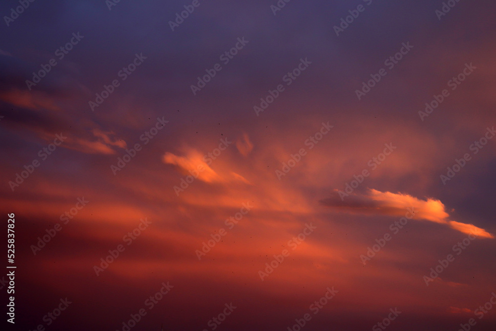 Obraz premium Red clouds at sunset. Dramatic sunset sky
