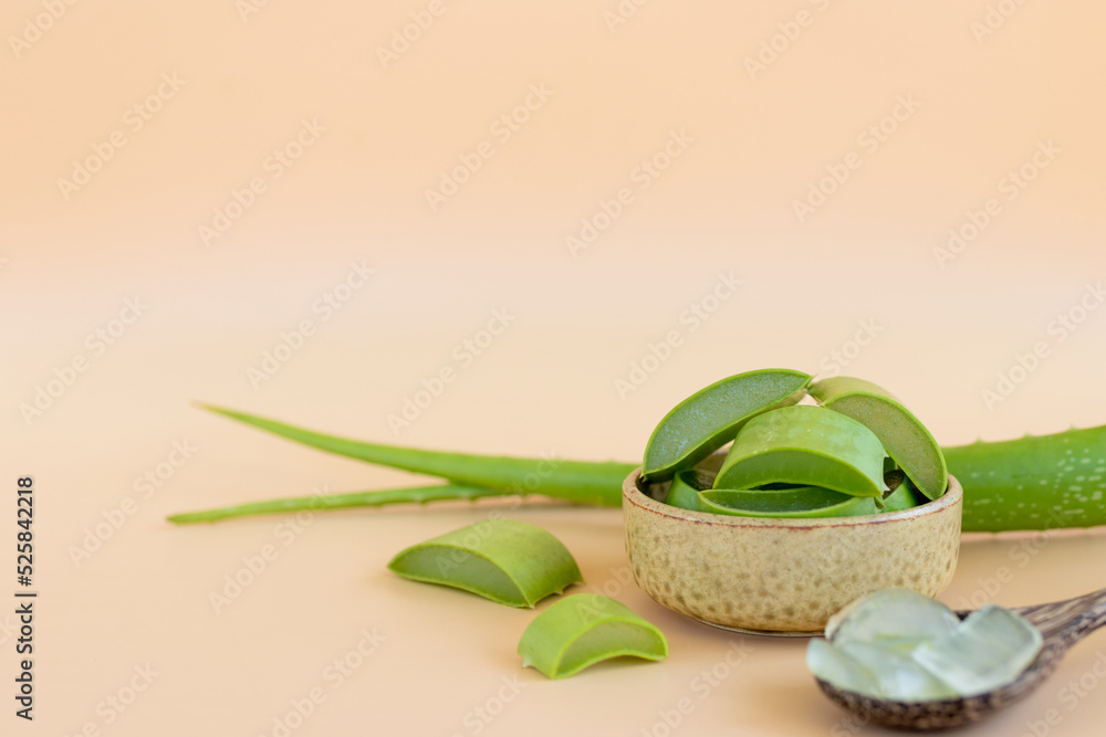 Top view of fresh aloe vera leaves. spa background concept. Top view of fresh aloe vera leaves. spa background concept.