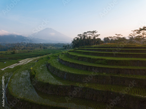   Landscape of beautiful Asian terraced rice fields with huge mountain on the background during sunny day . Spectacular rice fields. 