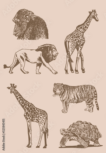 Graphical vintage set of wild animals,vector illustration. Hand-drawn elements of the wild